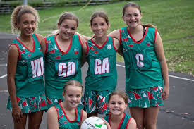 Image result for Newdigate Netball Club