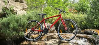 Image result for tall bikes