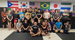 Image result for Team Renegade BJJ & Judo
