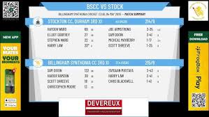 Image result for Billingham Synthonia Cricket Club