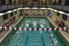 Image result for Worcester Swimming Club