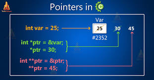 Image result for Pointers