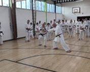 Image result for Haslemere Karate Club