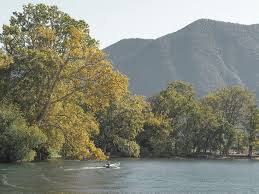 Image result for "Parco Ciani"