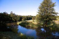 Image result for Chiddingfold Golf Club