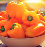 Afbeeldingsresultaat voor orange sun sweet pepper