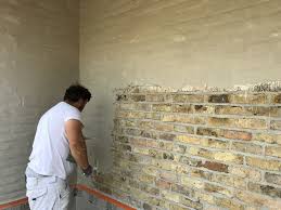 Image result for kaleien