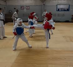 Image result for Newbury TAGB Tae Kwon-Do (Juniors)