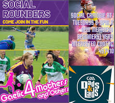 Image result for Carryduff Gaelic Athletic Club