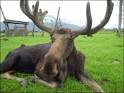 Visit Alaska for a Memorable Vacation :: Oceanic Time Warner ...