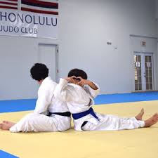 Image result for Halewood Inclusive Judo Club