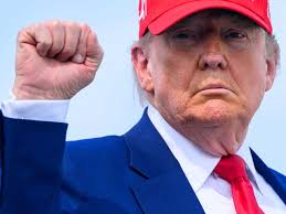 Image result for holtec tehron