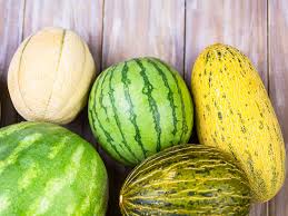 Image result for Melone