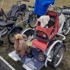 Image result for Wheels For All Widnes