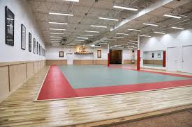 Image result for Bujinkan Truro Dojo