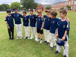 Image result for Mitcham Cricket Club