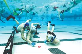 Image result for FXU Underwater Hockey