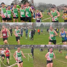Image result for Annadale Striders Ac