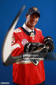 Afbeeldingsresultaat voor panters