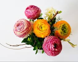 Attēlu rezultāti vaicājumam “Ranunculus mendax flower”