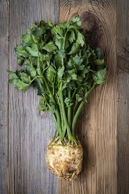 Image result for Sellerie