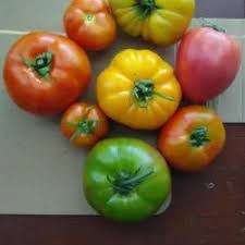 Afbeeldingsresultaat voor anna russian tomato