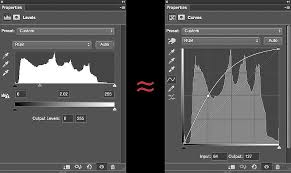 Image result for Curves
