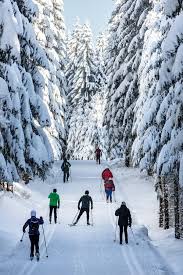 Image result for Scandinavian slope and cross country skiing