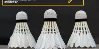 Image result for Ashton (Lancs) Badminton Club