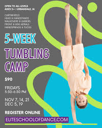 Image result for Chermond School Of Gym & Dance