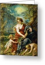 Attēlu rezultāti vaicājumam “Collaria rubens”