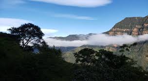 Výsledek obrázku pro yungas