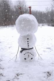 Image result for Schneemann