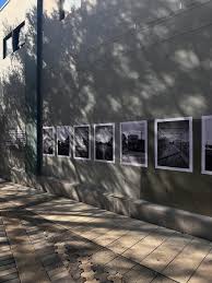 Image result for Guildford Autodefence Wing Tchun