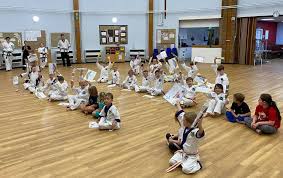 Image result for Bellshill Tae Kwon-Do
