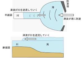 Image result for 高潮 津波 別物