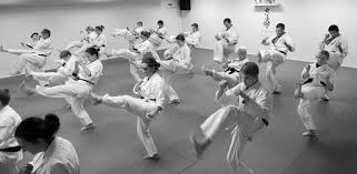 Image result for Carn Brea Karate Kai