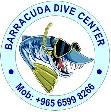Image result for Dive Barracuda
