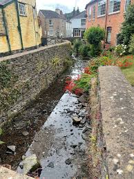 Image result for Dulverton Angling Association