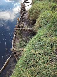 Image result for Calstock Smbc