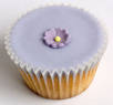 Cupcake Recipes
