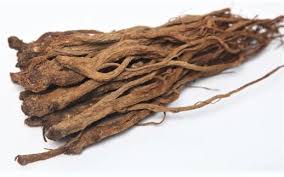 Image result for root-tail