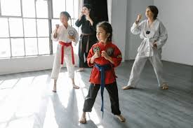 Image result for ATA Martial Arts Manchester