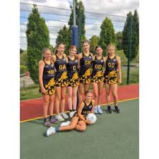 Image result for Wyvern Ladies Netball Club