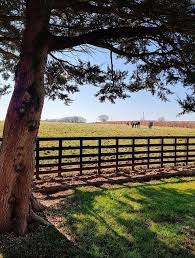 Image result for Ayr Riding Club