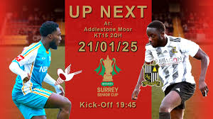 Image result for Addlestone Wanderers