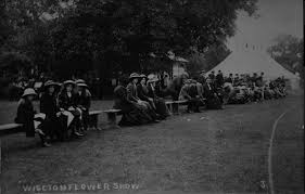 Image result for Wiseton Cricket Club