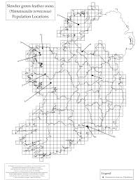 Attēlu rezultāti vaicājumam “Hamatocaulis lapponicus”