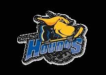 Image result for Haringey Greyhounds Ice Hockey Club