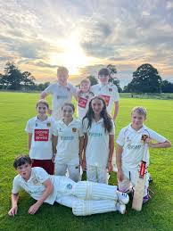 Image result for Glastonbury Cricket Club